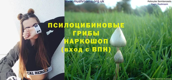 твердый Армянск