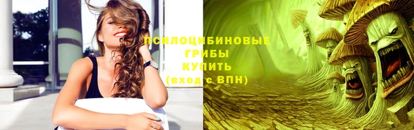 ешки Аркадак
