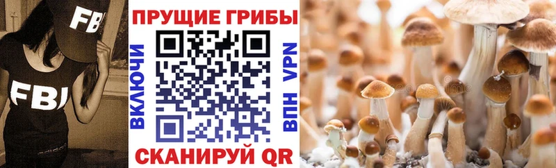 Псилоцибиновые грибы мухоморы Сибай