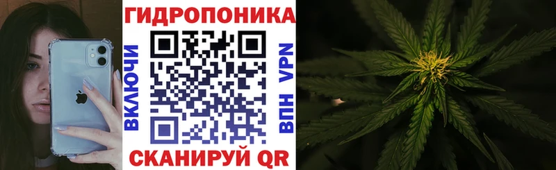 Шишки марихуана Amnesia  Сибай 